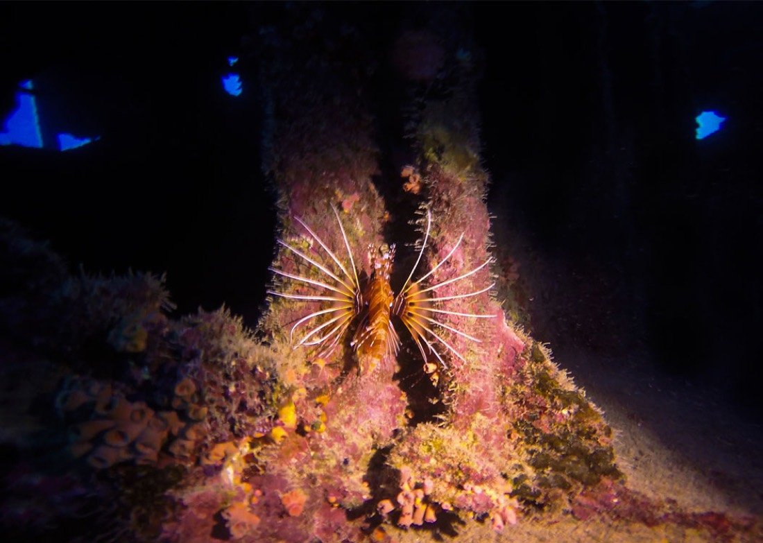 Underwater photography 10