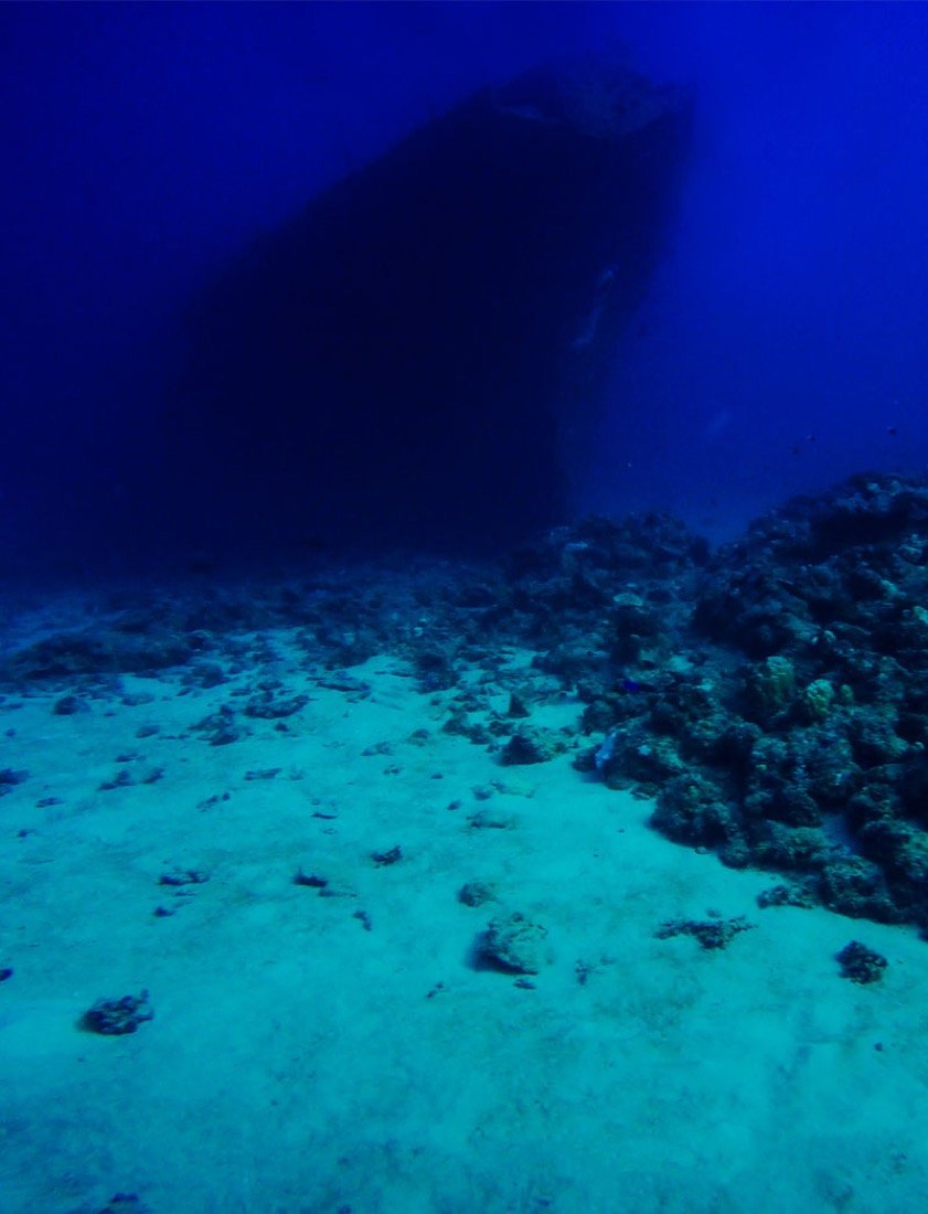 Underwater photography 6