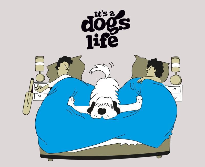Illustrated It's a Dog's Life logo of a dog asleep between two people in bed